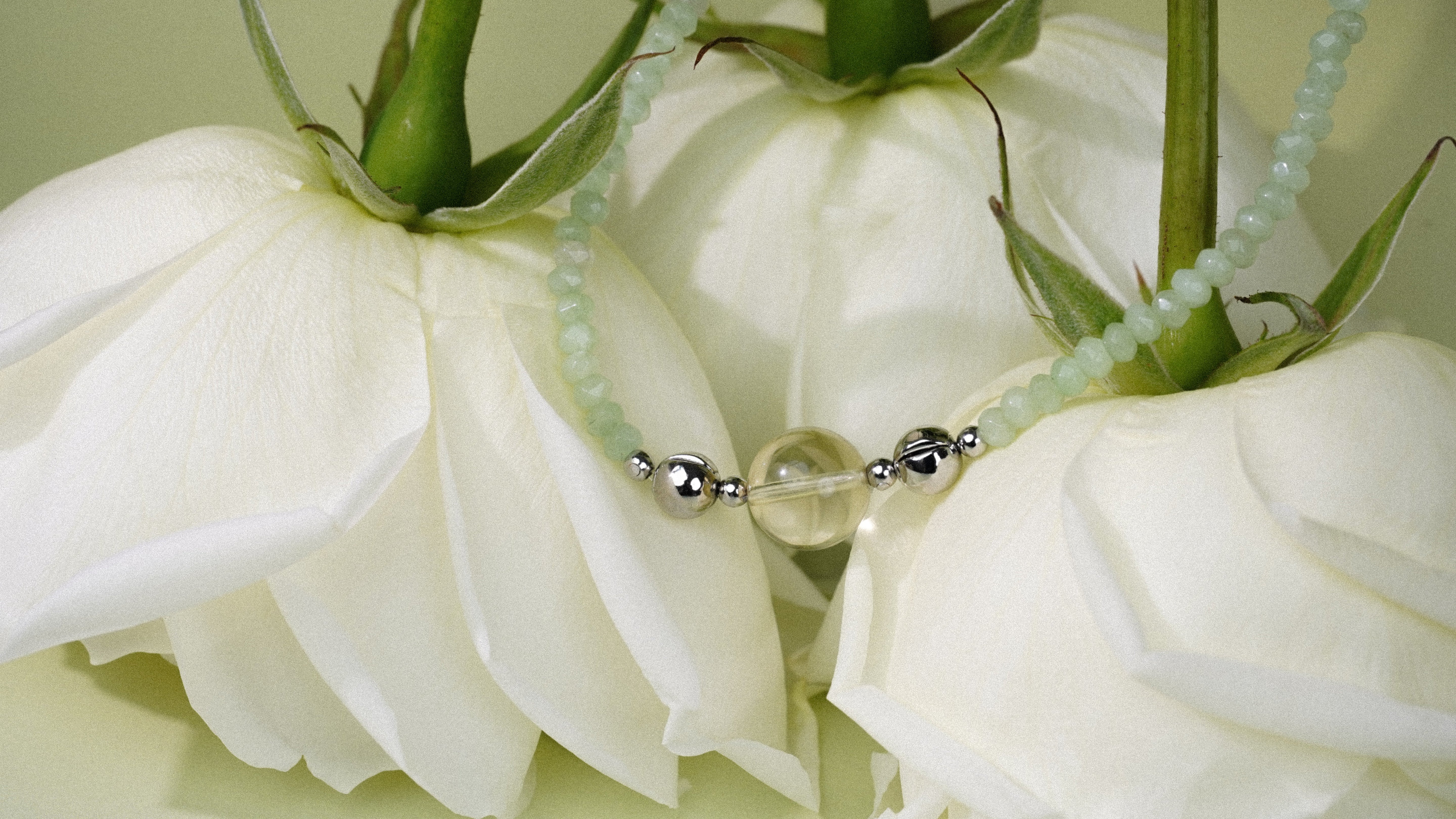Necklace with green beads draped over white roses on a light green background